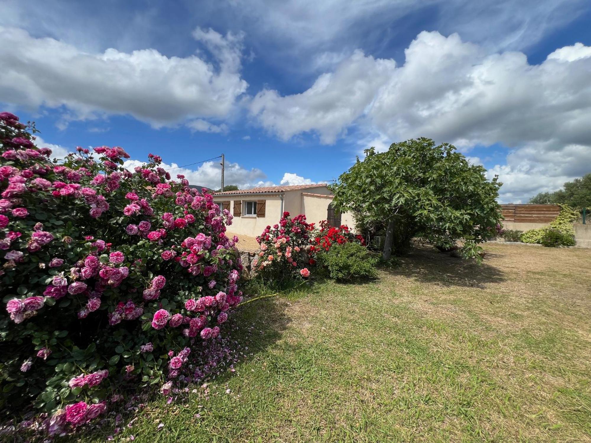 Casa Favalella Apartment
